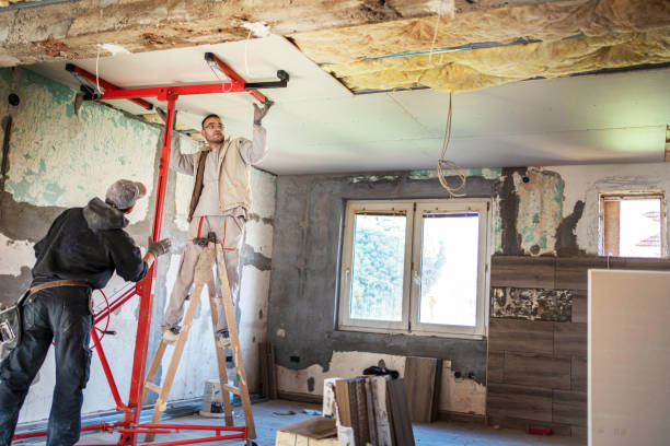 Best Types of Insulation in Diaz, AR