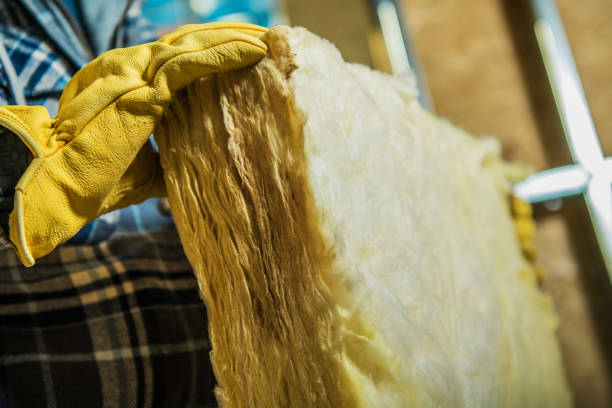 Best Residential Insulation in Diaz, AR